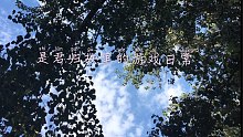 【君归故里-】《忘川风华录》拯救麒麟计划