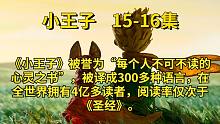 【有声书】—《小王子》15-16集