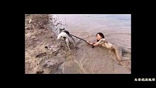 户外精彩运动，狗狗不听话了