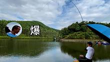 钓友们想看的爆竿？2000多的龙纹鲤，今天钓哭了！
