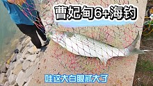 曹妃甸的白眼鱼太大了，收获满满哦，旁边钓鱼急的转圈也没钓着！
