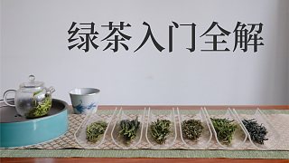 【六大茶类4】绿茶基础入门干货全解析，新手必看
