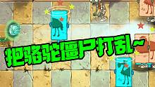 植物大战僵尸：可别把骆驼僵尸顺序打乱，我已经看晕了