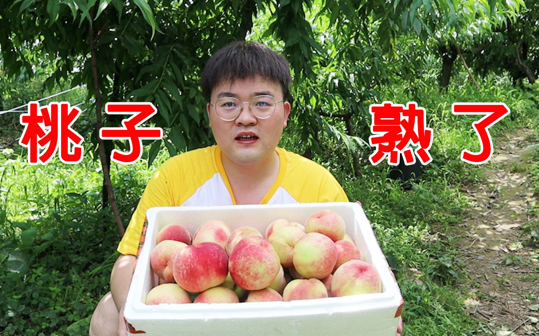 是的没错，真相只有一个，我是不会卖桃子的做饭选手不是好阿婆主，老猫，哈哈哈！！