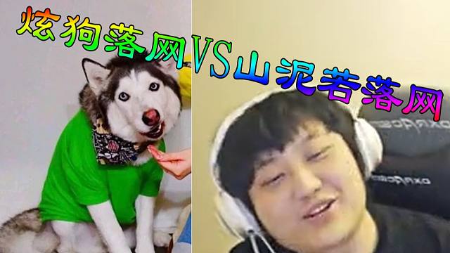 山泥若落网 vs 炫狗落网对比.