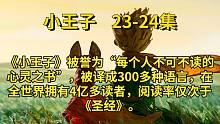 【有声书】—《小王子》23-24集
