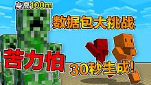 每30秒就会在你身后生成3只苦力怕！？？