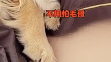 现在的小三都这么能犟嘴吗？