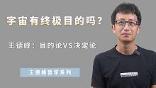 宇宙有一个终极目的吗？王德峰：目的论和决定论，有什么根本的不同？