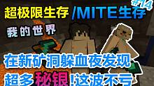 我的世界MITE/贝爷生存#15：前往新矿洞发现到了第二个血夜！