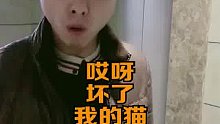 哈哥，我对不起你呀？？？？事实证明，猫比狗扛饿啊