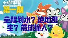 【小动物之星】第一期：全场划水？绝地逃生？带球撞人？