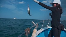 【第一次出海钓鲅鱼，鱼群太疯狂，哪哪都是鱼！！ -