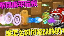 植物大战僵尸：不同水平玩家是怎么对付“修改阵”的？