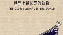 世界上最长寿的动物生命周而复始的循环