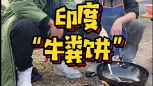 印度的牛粪饼，我做了一个