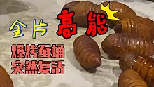 猎奇向-东北蚕蛹 上菜时是冻的，一下锅全活了