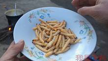 【美食猎奇】木头劈出这种白虫，农村小伙炒出一道美味，小朋友们抢着吃！