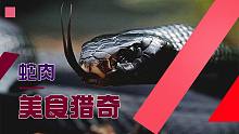 网络猎奇美食：蛇肉这样做才美味,香辣蛇肉