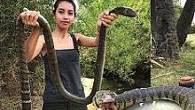 【东南亚猎奇美食】炭烤眼镜王蛇 煲汤 小姐姐牙口是真滴好