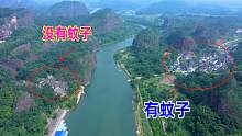 江西发现一个神奇的村子，四季居然没有蚊子，飞到河对岸的村庄