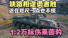 坦克世界:眼车谁能第一时间抢到点位谁拿万伤，50几米玩心跳啊这