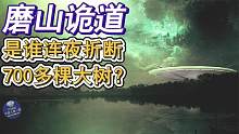 磨山诡道事件，是谁连夜折断700多棵大树？有人声称目击到UFO。