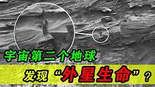 宇宙中的“第二个地球”，或许存在另一种“外星生命”！