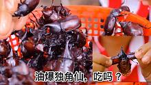 油爆独角仙，高蛋白！吃吗？