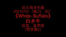 20210701（晚23：00）。汕头海滨长廊-《White-Buffalo》白水牛-琵琶、盖那笛