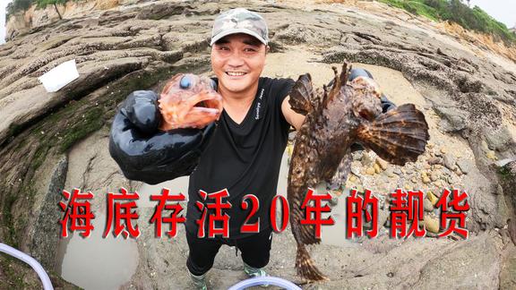 我是一颗小虎牙