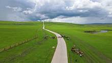 内蒙呼伦贝尔大草原有多美？3分钟低空航拍镜头感受一下