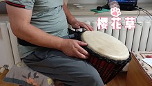 非洲鼓-歌曲:樱花草。非常甜美的歌