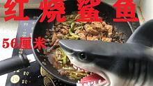 红 烧 鲨 鱼