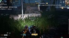 黎明觉醒辐射岛打架