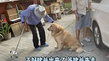 二姨的三轮车啥都好，就是有点响