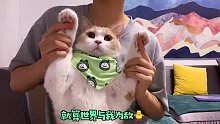 猛男来集合