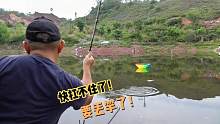 再次遇上淡水鱼中的战斗机，左冲右突力大无穷，差点就被迫丢竿！