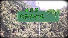 张家界武陵源索道美景