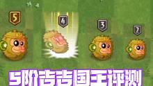 植物大战僵尸：吉吉国王要不要升5阶？为可爱的小猴子，升了！
