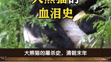 #来头条涨知识 大熊猫成为“国宝”的过程，其实也是一部血泪史 #熊猫#历史