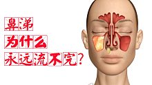为什么感冒时，鼻涕流不完，它到底是从哪来的？