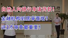 自然人向银行申请贷款，金融机构到底审查啥？这3点审查最重要！