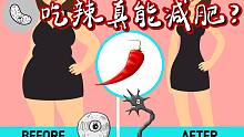 【吃辣减肥是真的？！】科学分析-吃辣减肥到底靠不靠谱