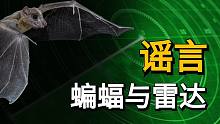 小学课本居然写错了，蝙蝠与雷达没有任何关系