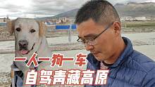 带着拉布拉多挑战青藏线，跟观众朋友说说心里话，感谢大家关注
