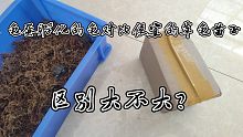 买龟蛋孵化出来的对比0.02元买的小草龟