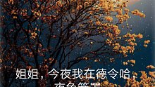 【reading】海子《日记》