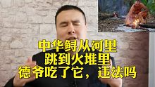 德爷荒野求生时，一条中华鲟从水里跳到火堆上，把它吃了违法吗？