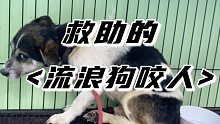 救助的狗狗咬人 福福第一集